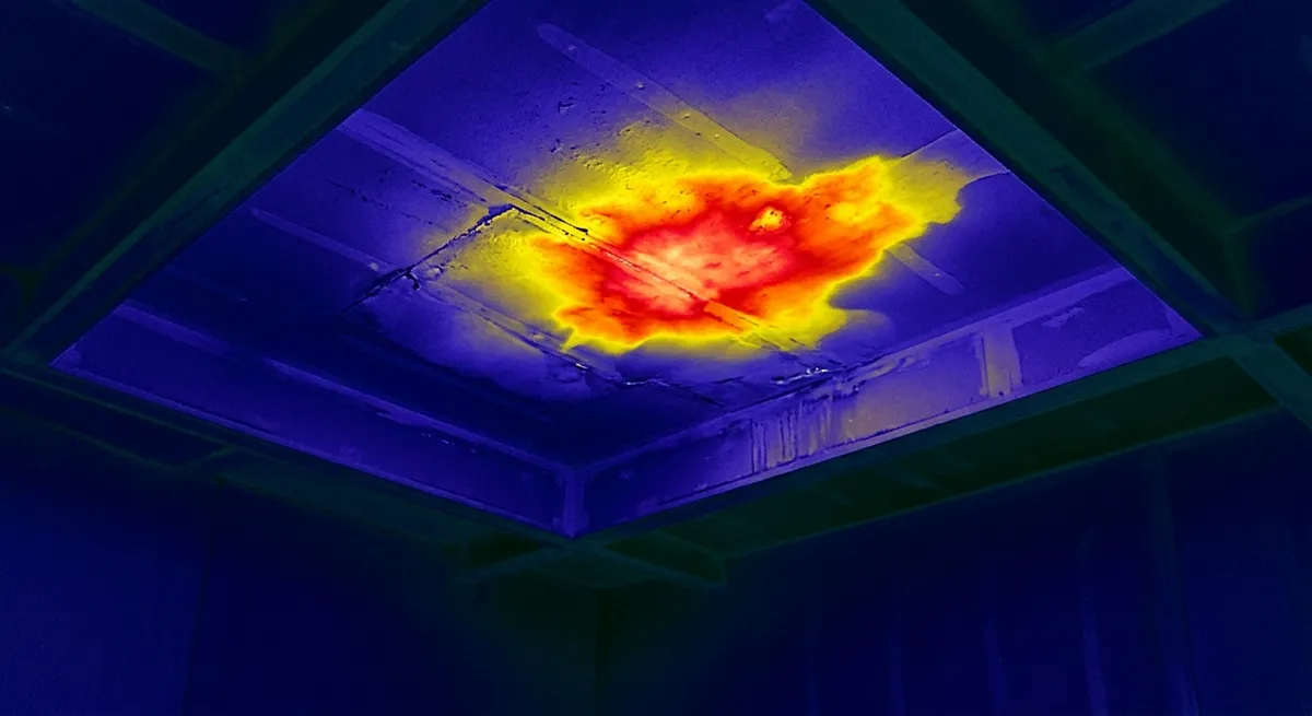 thermographie dégât des eaux plafond